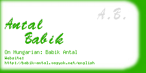 antal babik business card